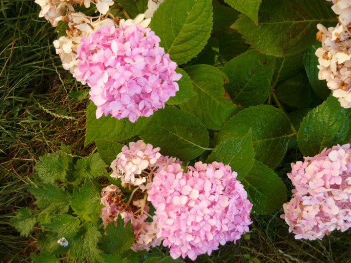 030