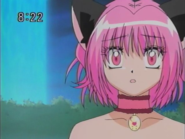 09 - Tokyo Mew Mew