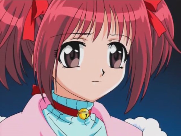 11 - Tokyo Mew Mew