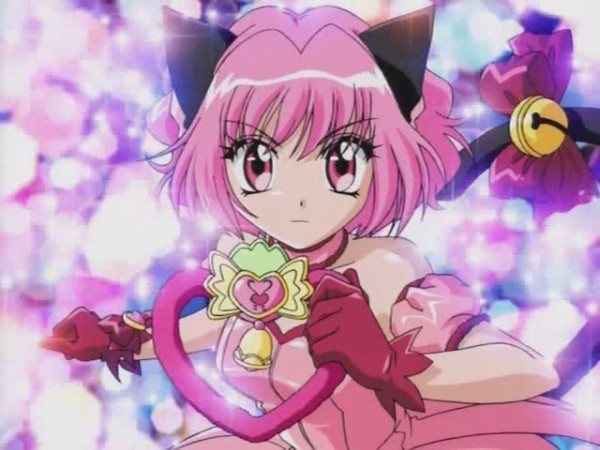 14 - Tokyo Mew Mew