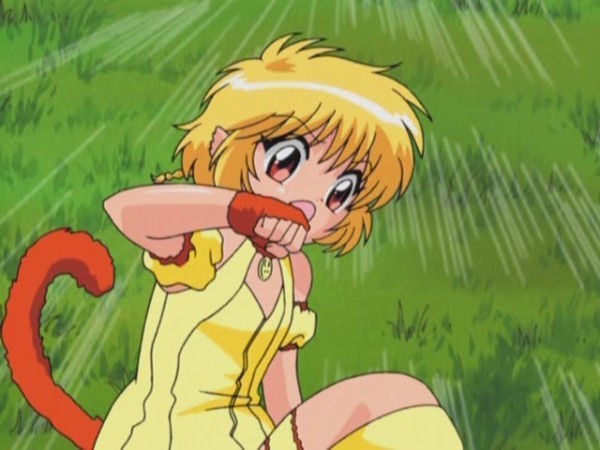 fb - Tokyo Mew Mew