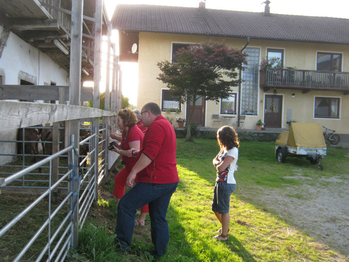 farmziege 037