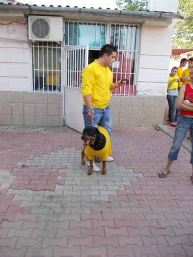 250824_421348604555089_1291006927_n