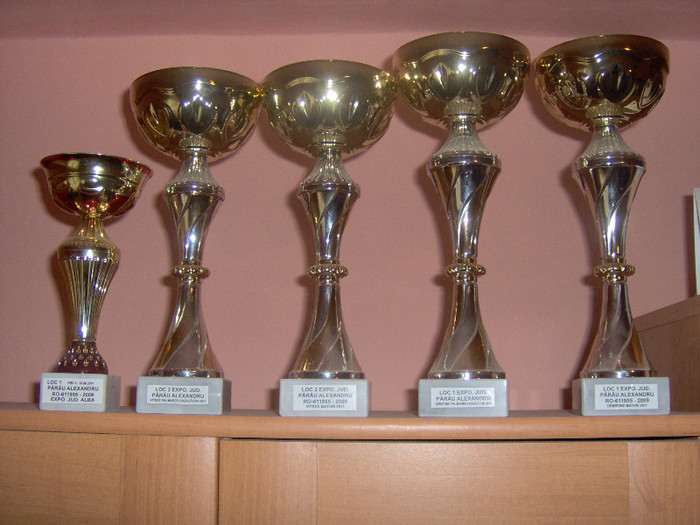 rezultatul muncii...