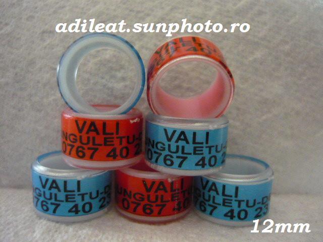 www.adileat.sunphoto.ro - 1-A-INELE PERSONALIZATE 2013