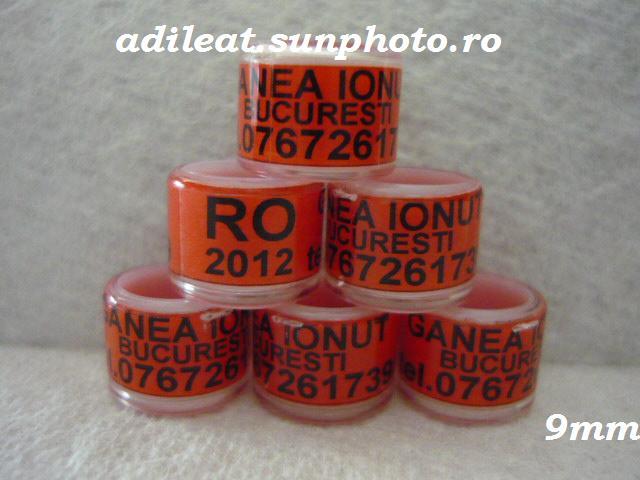 www.adileat.sunphoto.ro - 1-A-INELE PERSONALIZATE 2013