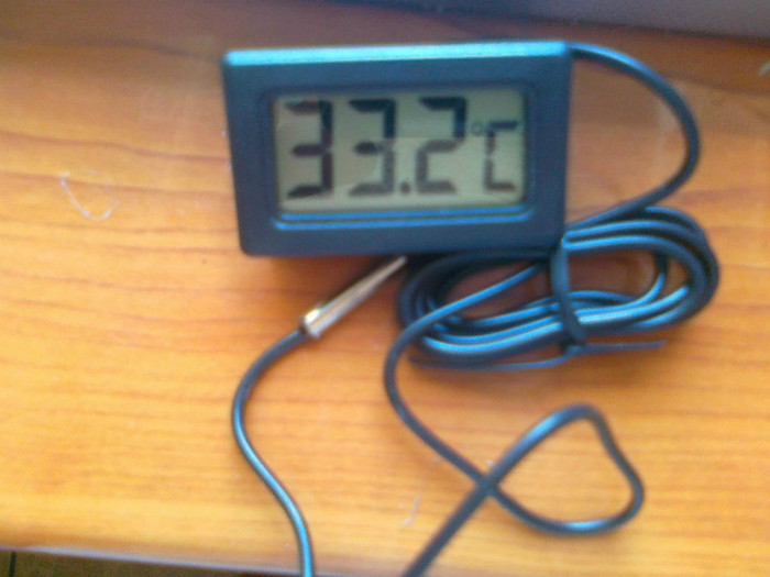 20072012350 - Termometre incastrabile pentru incubatoare-15 lei
