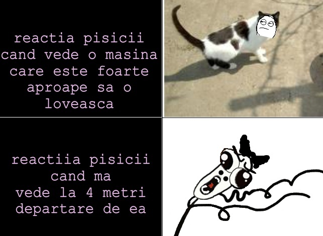  - x_Wanna Laugh
