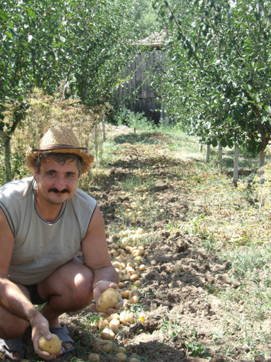 Picture 062 - gradina 2012
