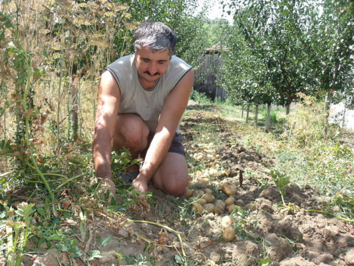 Picture 064 - gradina 2012