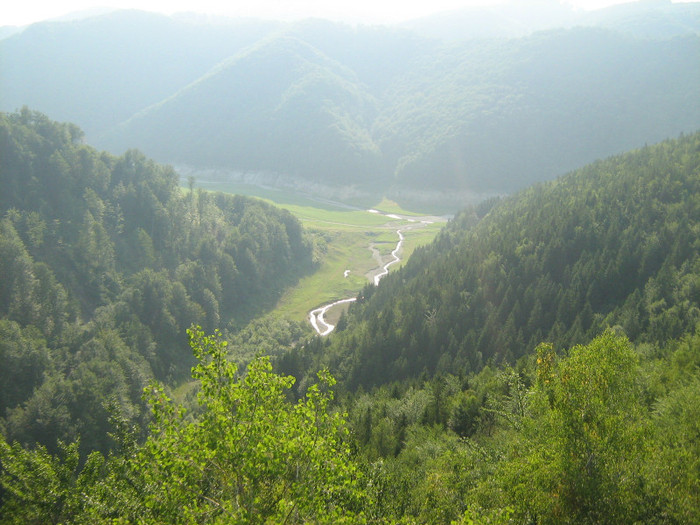 pe munte la Lacul Lesu 006