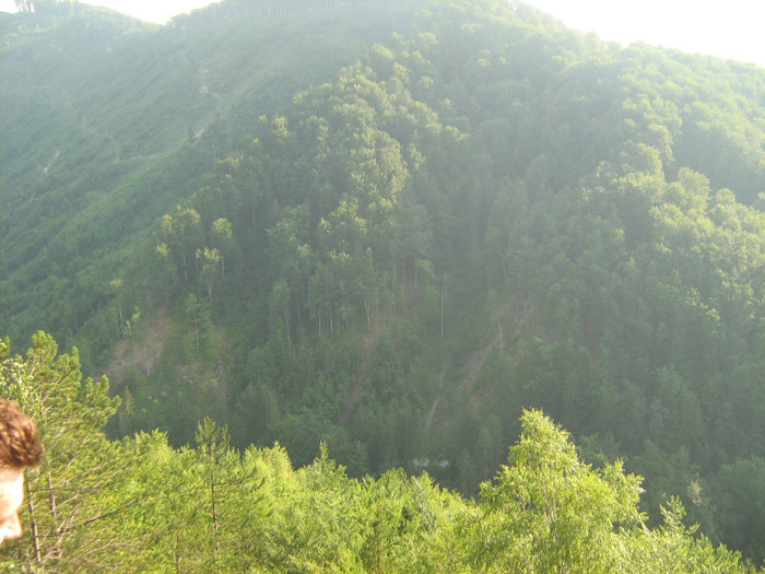 pe munte la Lacul Lesu 007