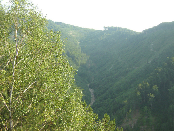 pe munte la Lacul Lesu 008