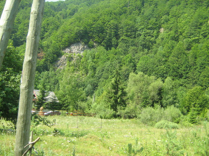 la coada lacului Lesu 001