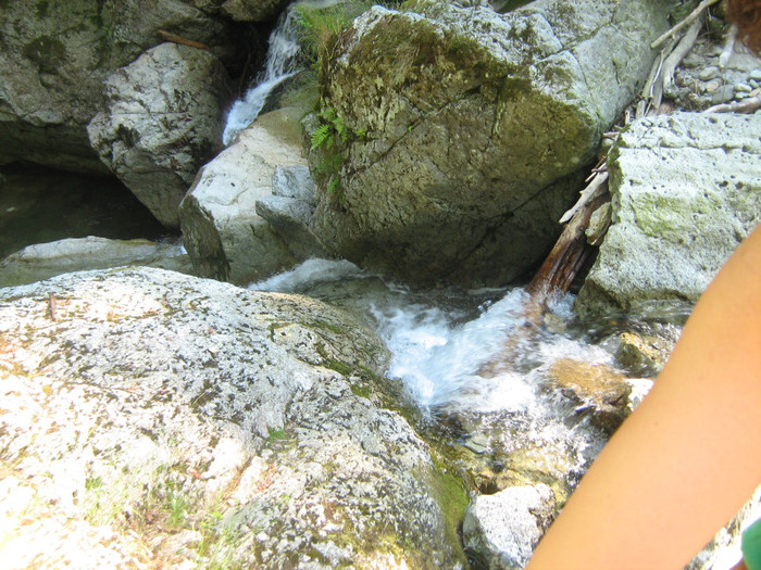 Cascada Iadolina 002; pe valea Iadului in sus de la coada lacului Lesu spre Stana de Vale
