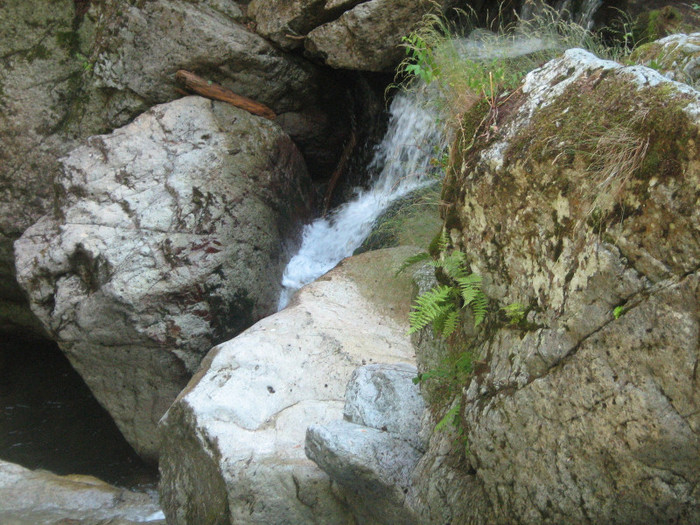 Cascada Iadolina 004