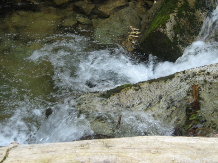 Cascada Iadolina 006