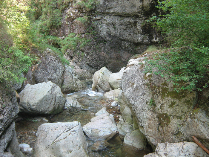 Valea Iadului 001