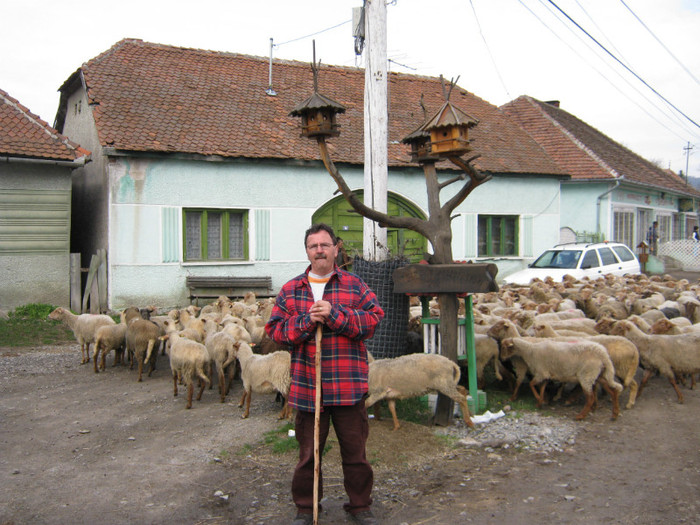 asteptam ciobanii la lucru - 7-anunt important