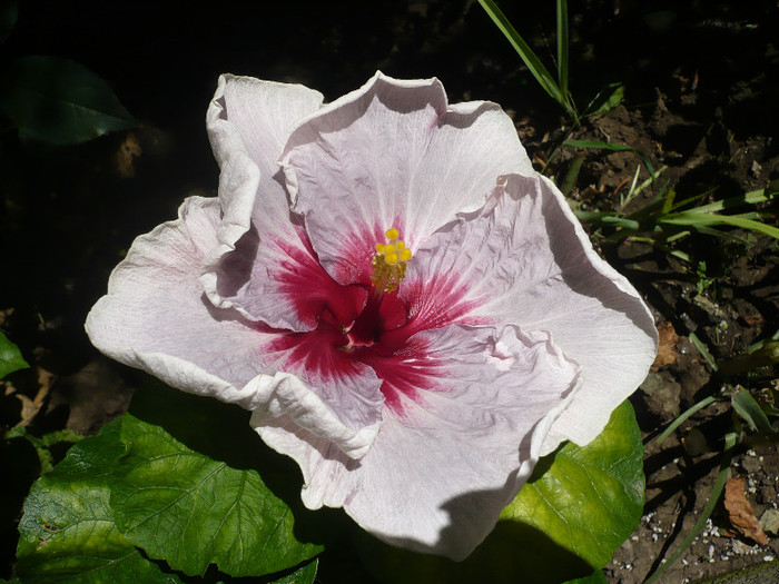 P1160092
