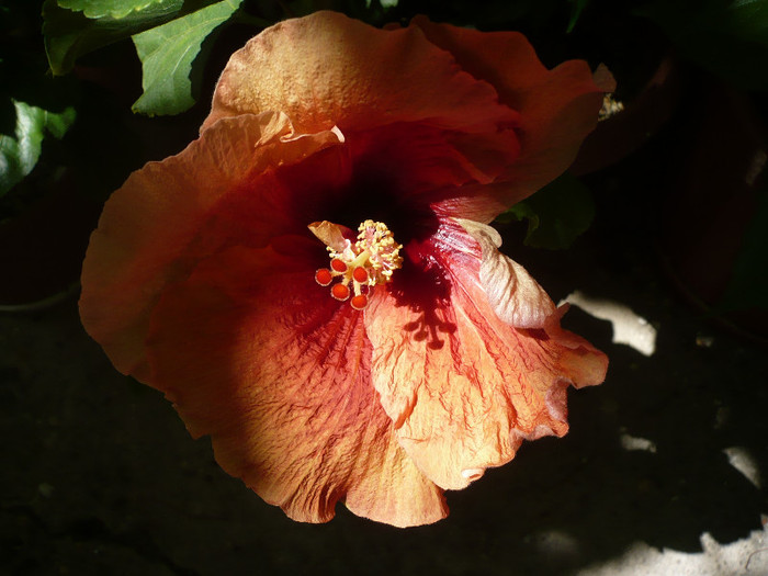 P1160096