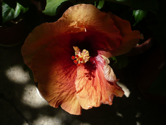 P1160097
