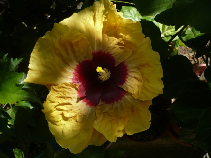 P1160099