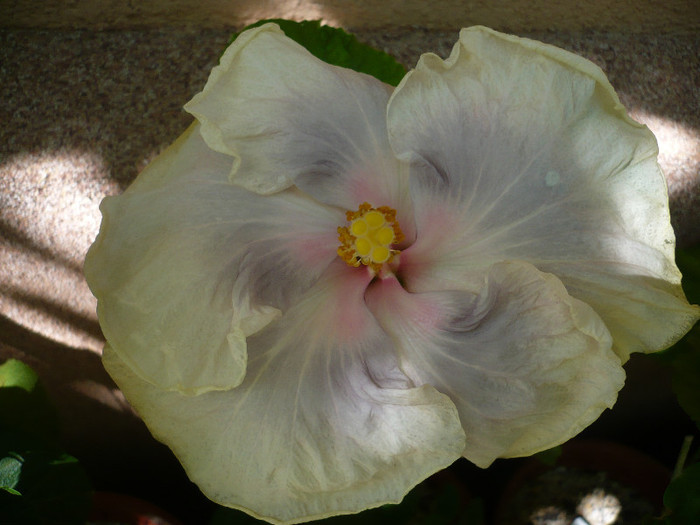 P1160104