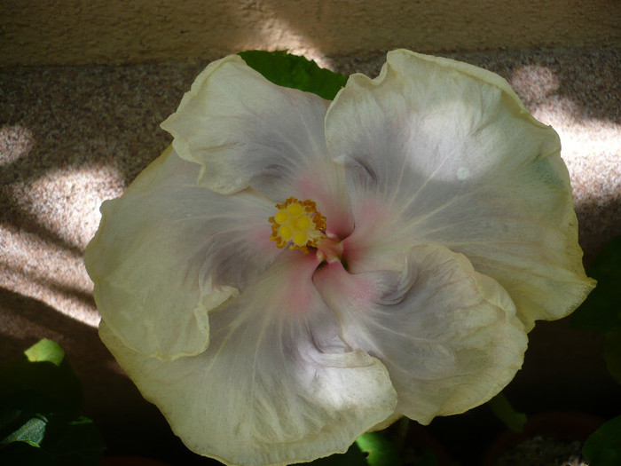 P1160106