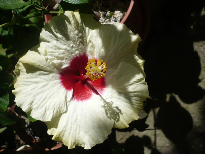 P1160108