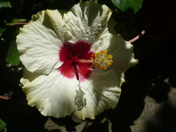 P1160109
