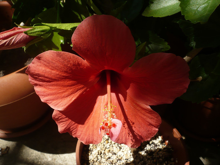 P1160111