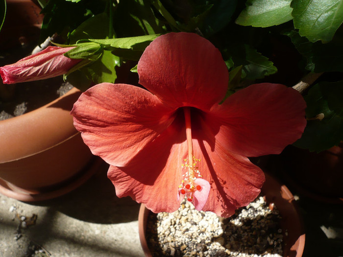 P1160112
