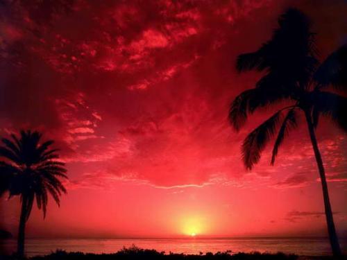 Poze Apus de Soare in Hawaii - vara
