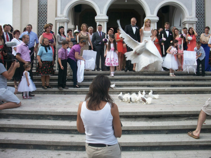 LANSAREA DE VOIAJORI ALBI