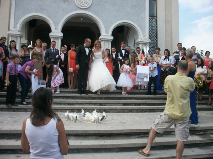 ALIM8018 - LANSARI PORUMBEI ALBI NUNTI SIGHETU MARMATIEI 2012