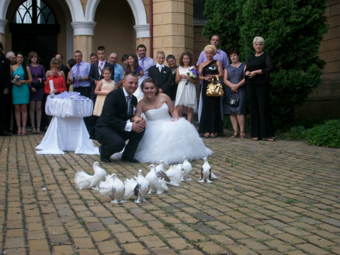 ROMANUL TOT ACASA TRAGE