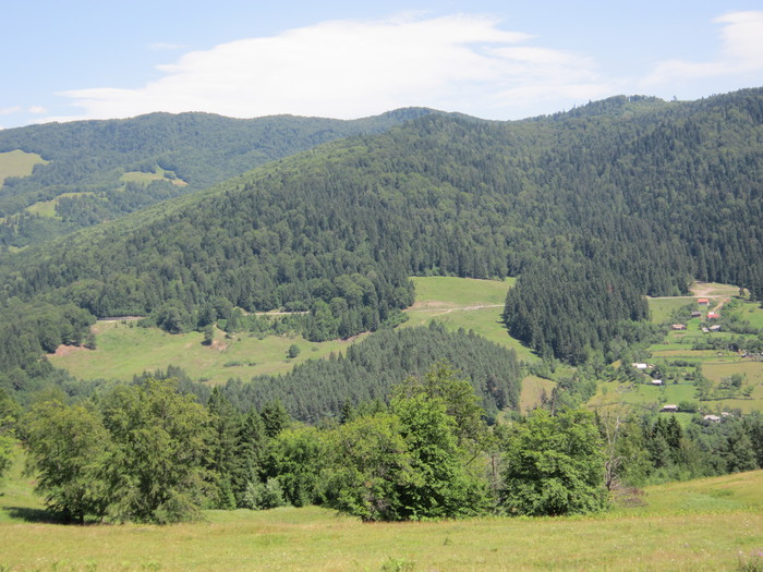  - peisaje de unde locuiesc