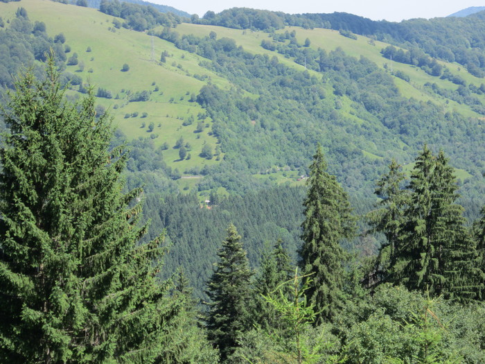  - peisaje de unde locuiesc