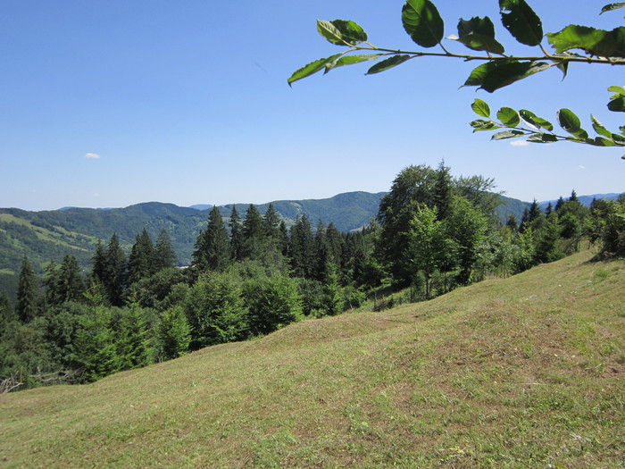  - peisaje de unde locuiesc