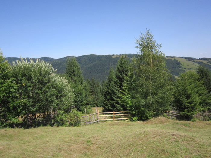  - peisaje de unde locuiesc