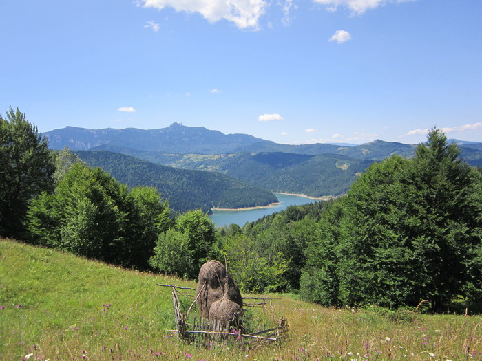  - peisaje de unde locuiesc