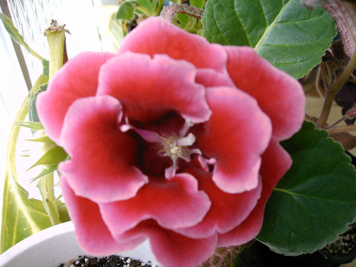 IMAG0024