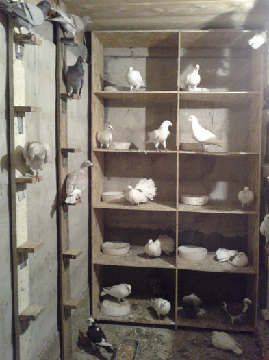 2012-07-21 21.34.54 - voiajori