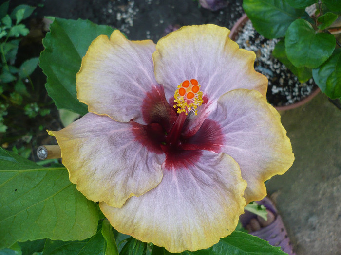 P1160124