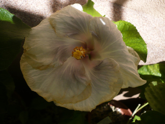P1160134
