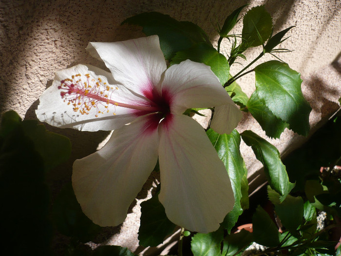 P1160135