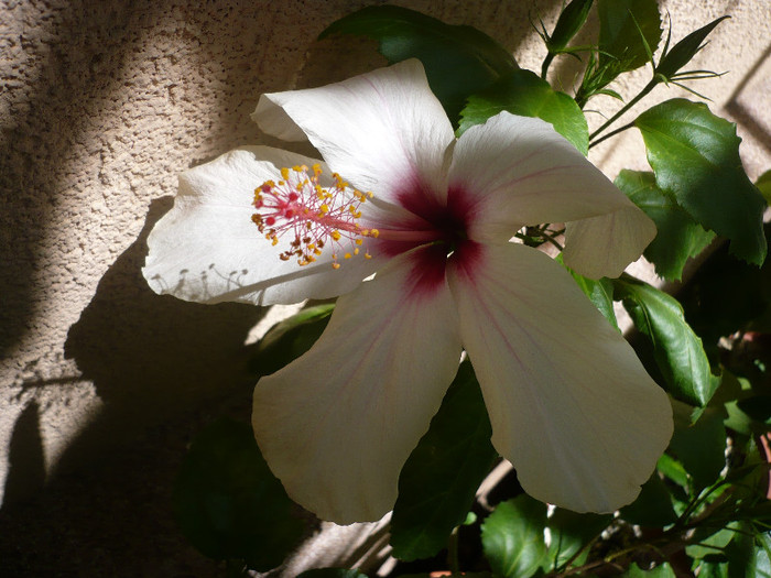 P1160136