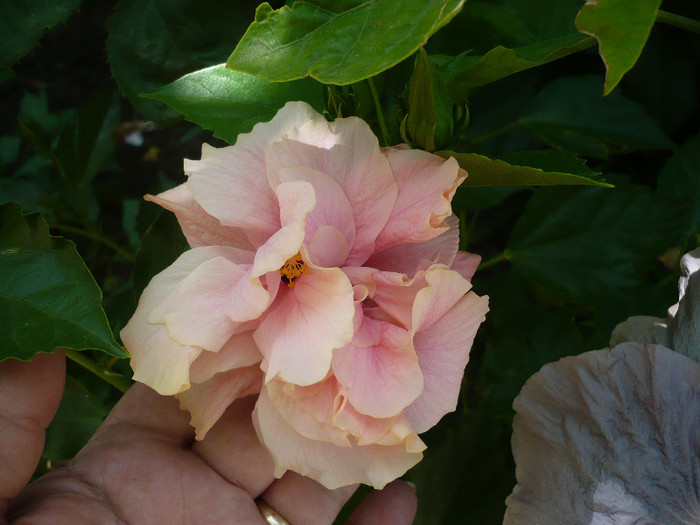 P1160144