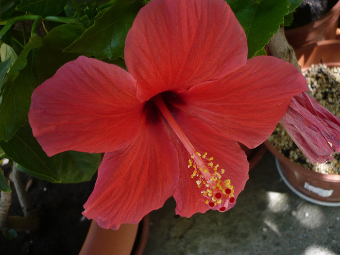 P1160158